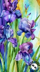 Northcott Infatuation Panel