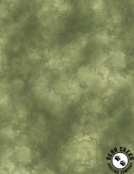 Wilmington Prints Sunkissed Texture Green