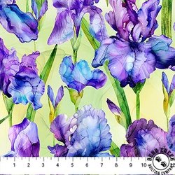 Northcott Infatuation Iris Feature Green/Multi