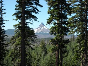 Mt Washington Oregon