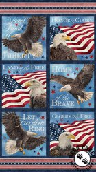 Northcott Stonehenge Stars and Stripes 13 Block Panel