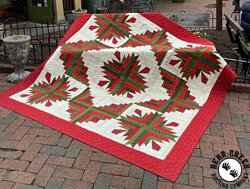 Cactus in the Cabin Quilt Pattern