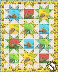 Adventures of Bear and Friends - Bear Sees Colors Free Quilt Pattern Adventures of Bear and Friends - Bear Sees Colors Free Quilt Pattern