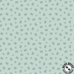 Riley Blake Designs Twilight Creatures Raccoons Mint Riley Blake Designs Twilight Creatures Raccoons Mint