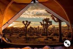 Hoffman Fabrics Sleeping Under the Stars Desert Panel