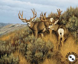 Riley Blake Designs Majestic in Nature Low Country Mulies Panel Riley Blake Designs Majestic in Nature Low Country Mulies Panel