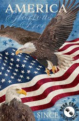 Northcott Stonehenge Stars and Stripes 13 Panel