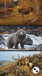 Riley Blake Designs Majestic in Nature Block Panel Riley Blake Designs Majestic in Nature Block Panel
